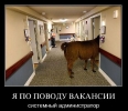 Компьютерные приколы_103